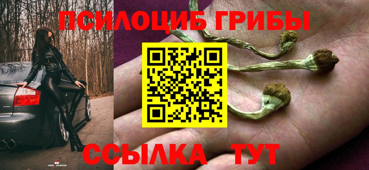 Псилоцибиновые грибы мухоморы  Вход с VPN  Псилоцибиновые грибы Cubensis  Родники 